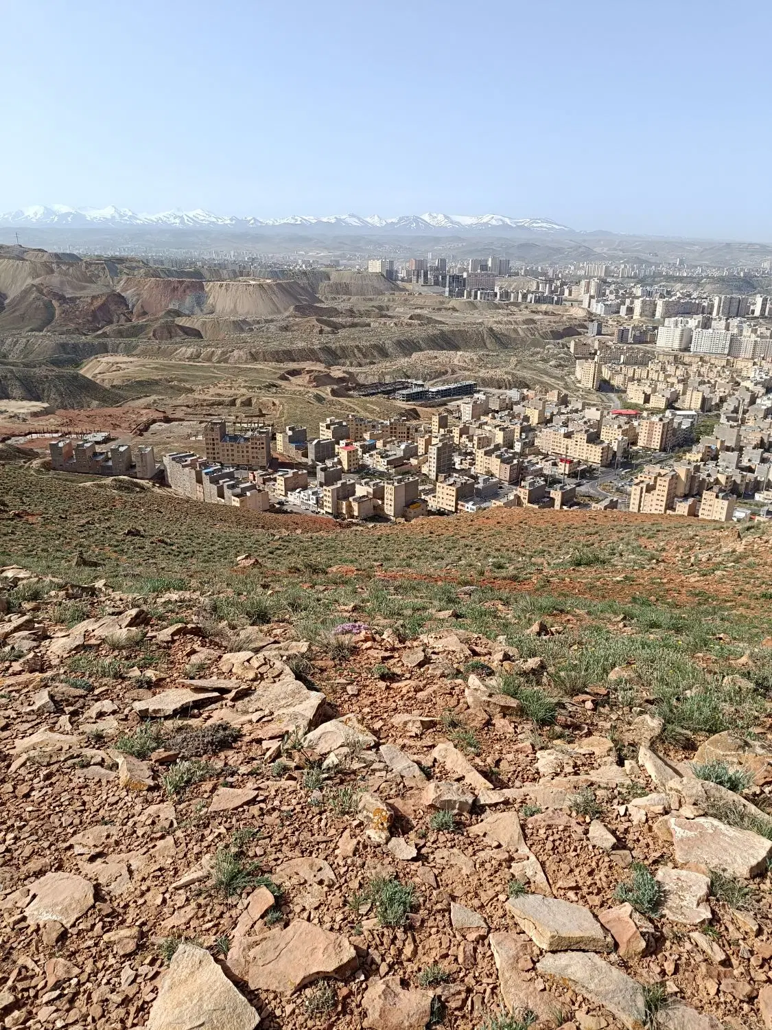زمین زراعی