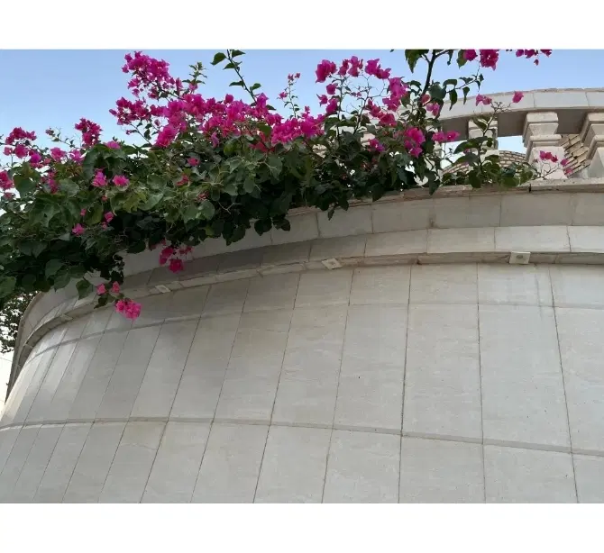 طبقه۲ پارکینگ آسانسور