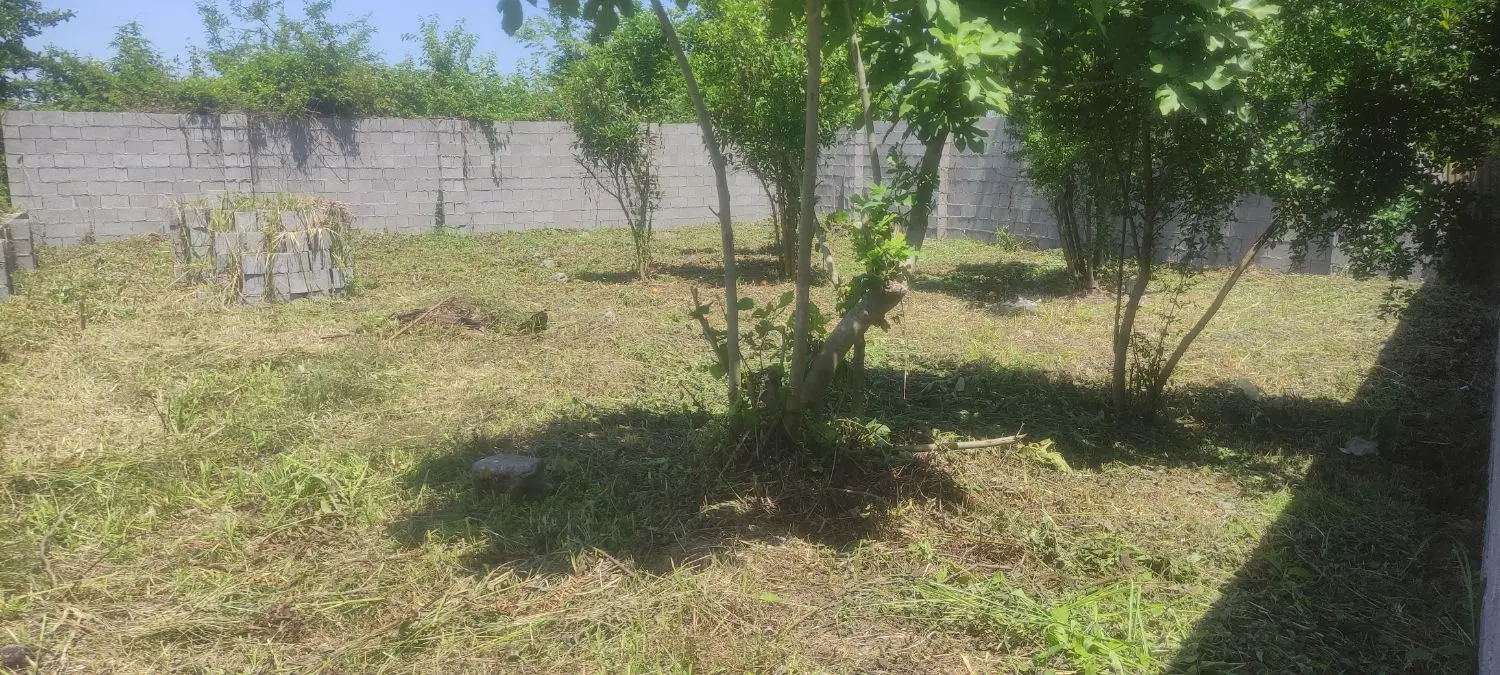 زمین مسکونی ۳۰۰ متر دور دیوار شده