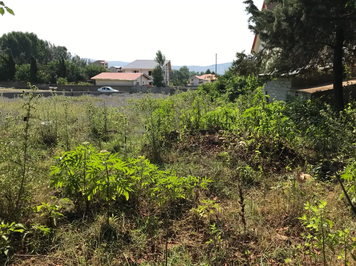 اویجدان ۱۲۰۰ متر زمین