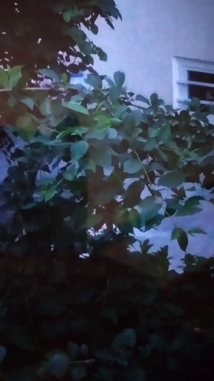 خانه اجاره بامبله حیاطداردروسط شهر