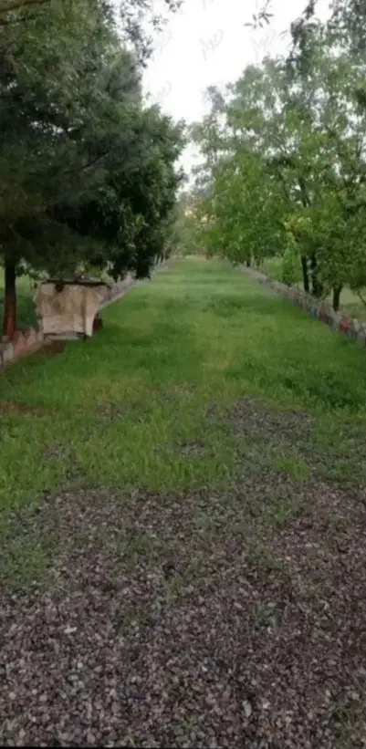 هزارمتر زمین مسکونی سند شیش دانگ قاچکانلو