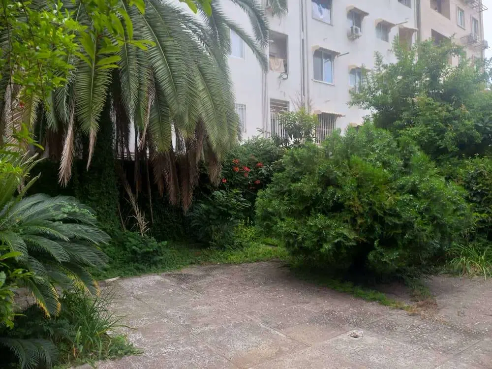 زمین 379 پشت هایپر احمدی