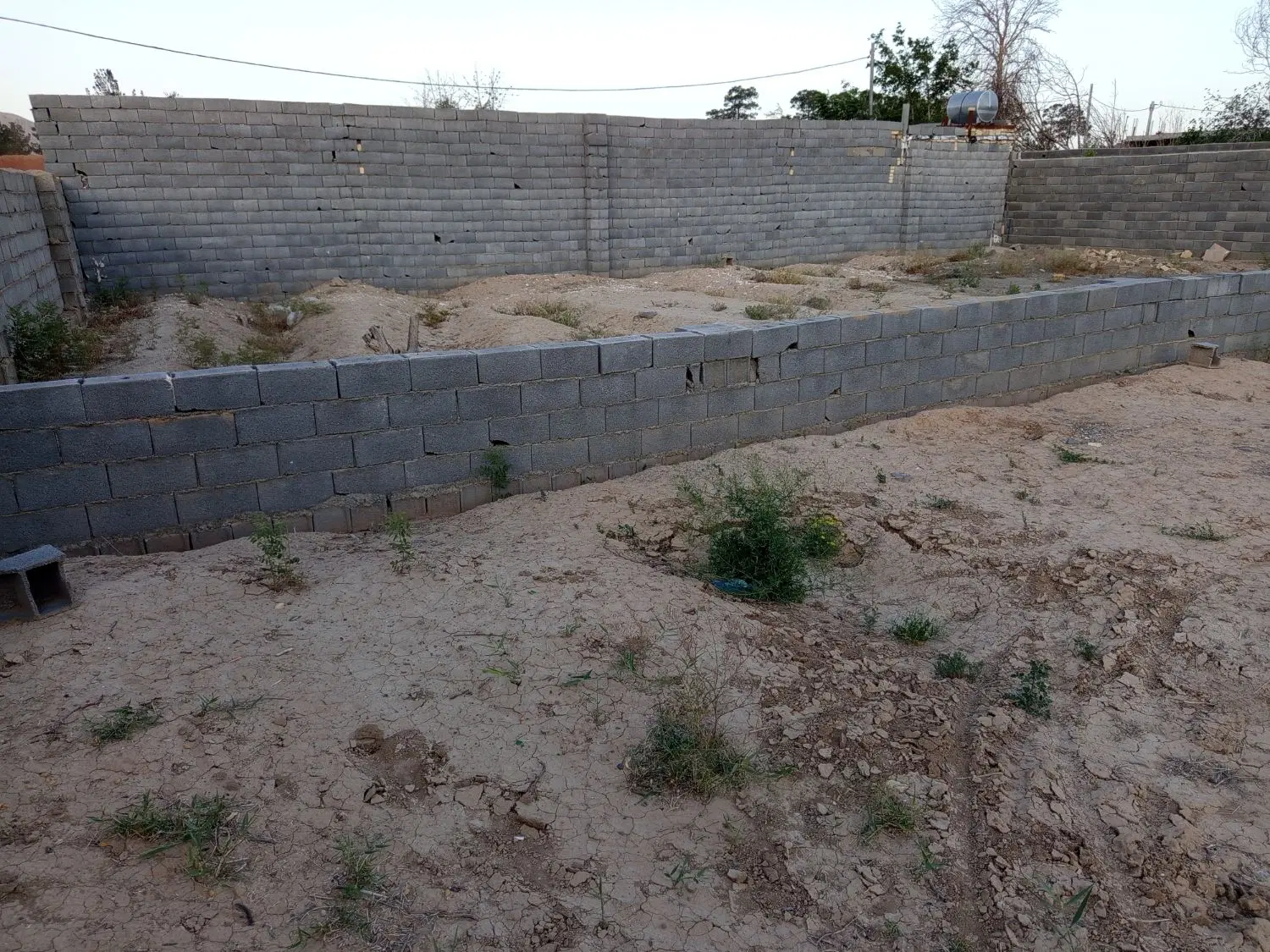زمین باغی