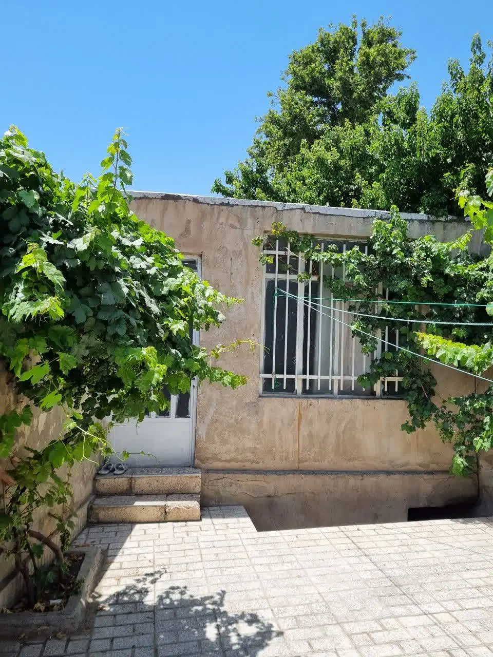 یک واحد 50 متری ویلایی حیاط دار