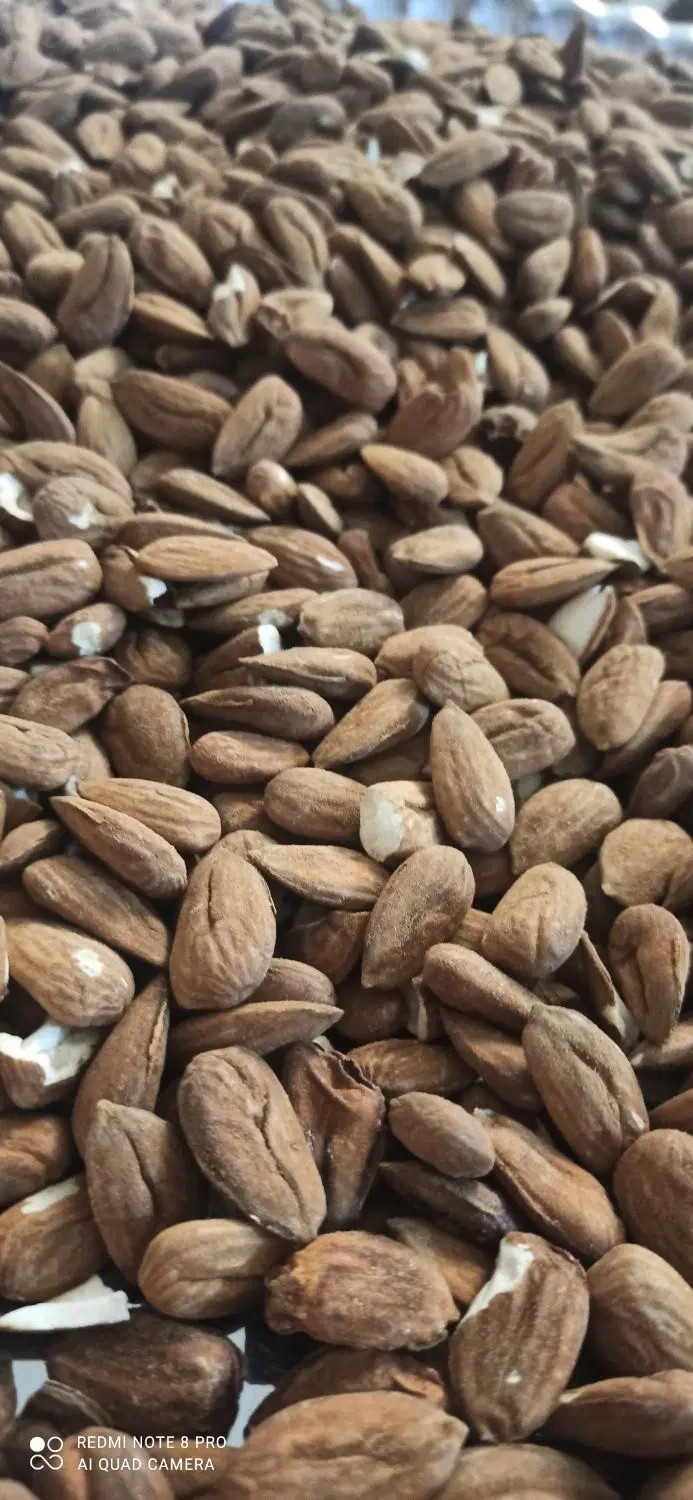باغ بادام و انواع میوه
