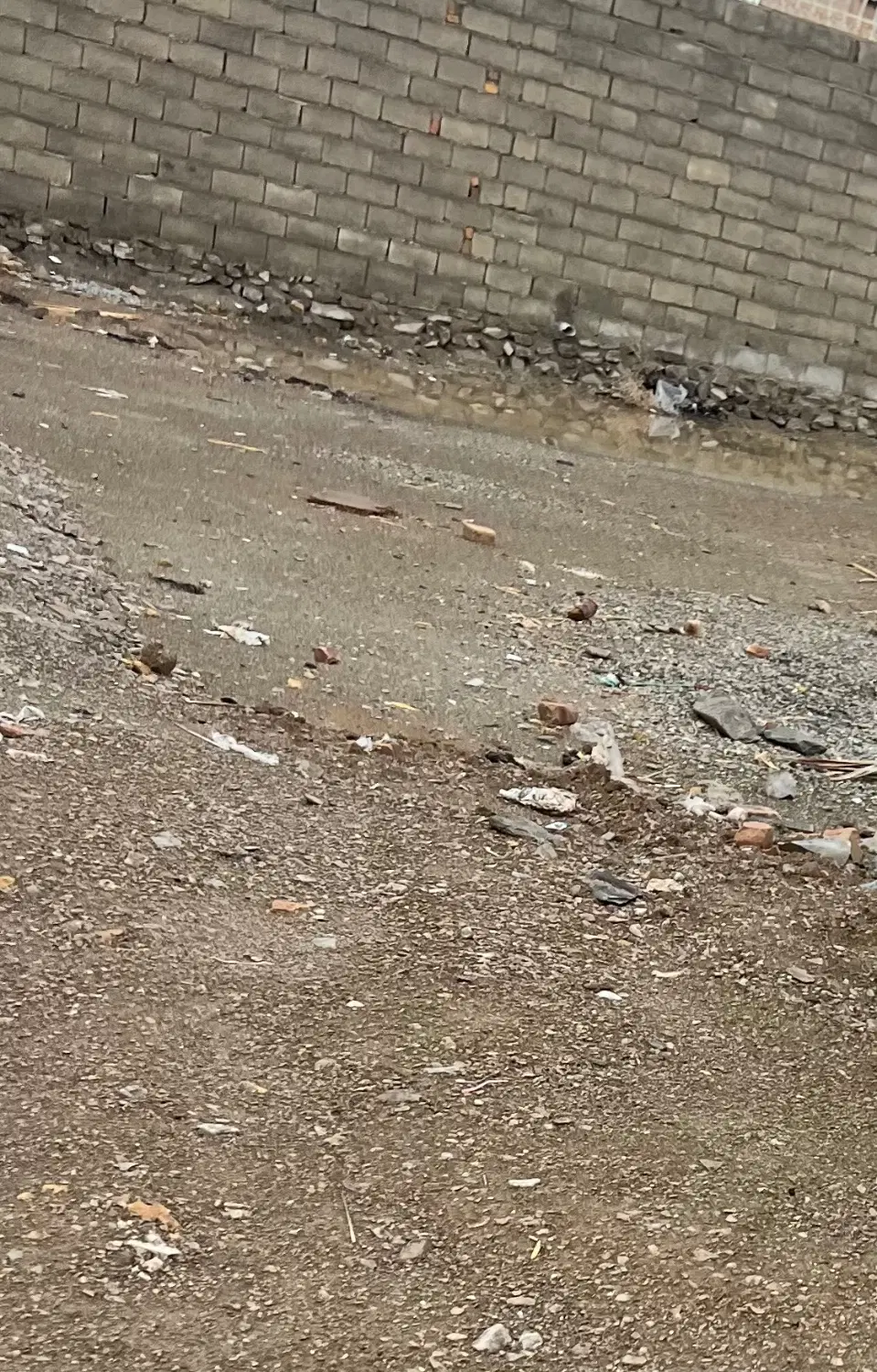 زمین مسکونی