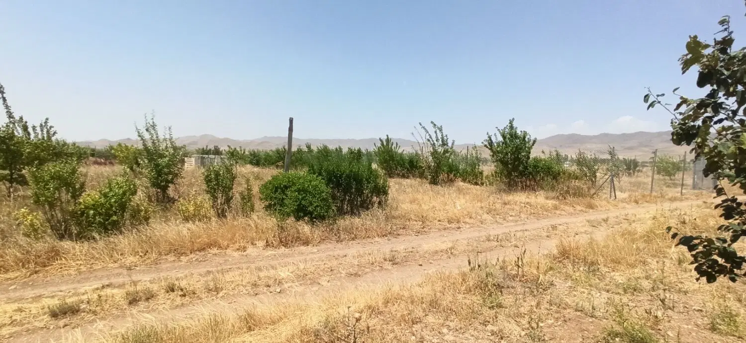 باغ 1000متری تک برگ سند جاده تهران