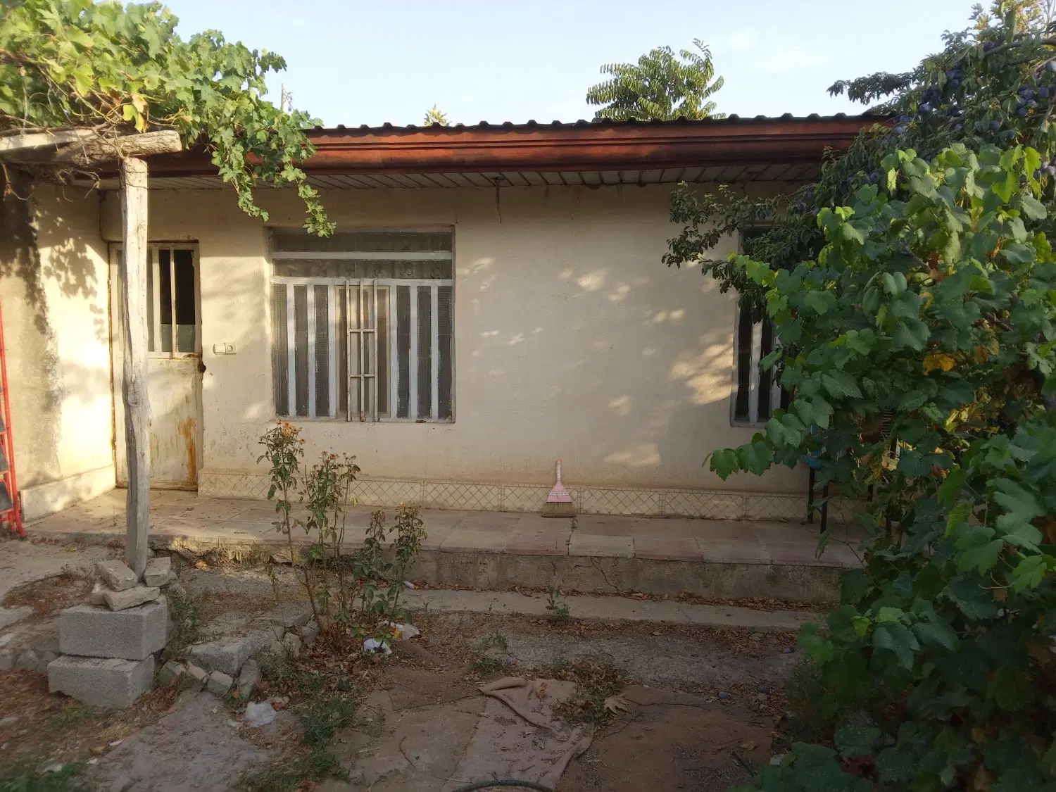 باغچه  وزمین فروشی