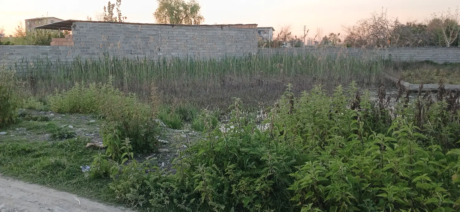 فروش زمین روستای افراکتی