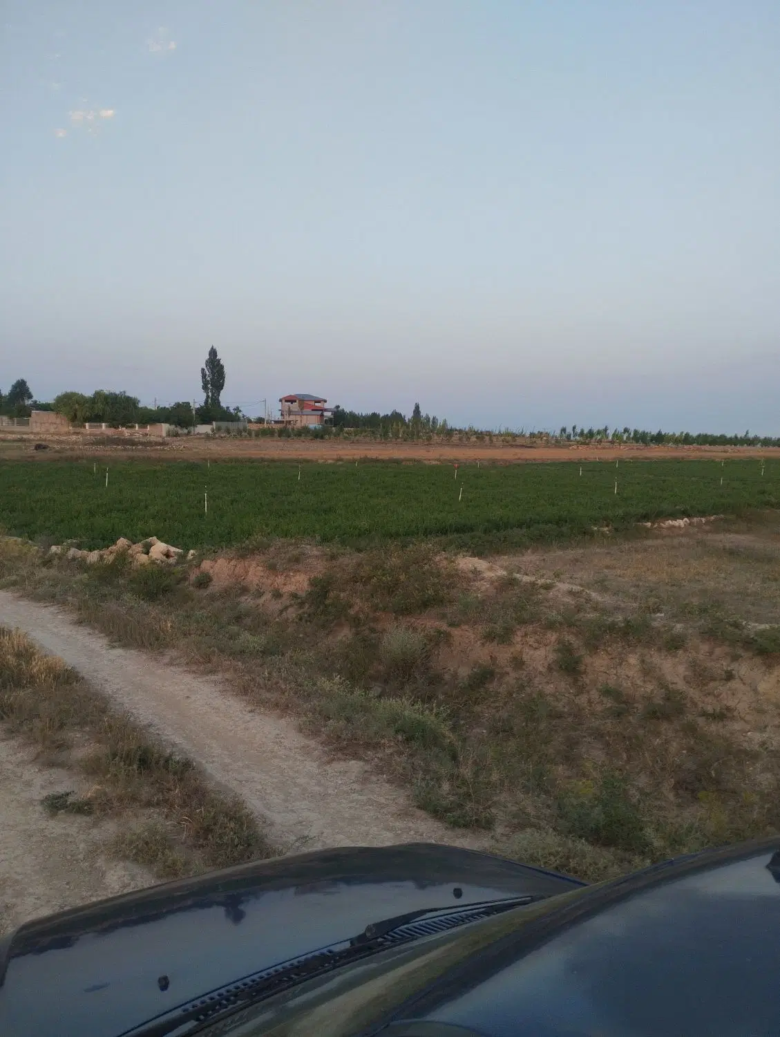 زمین برای باغ
