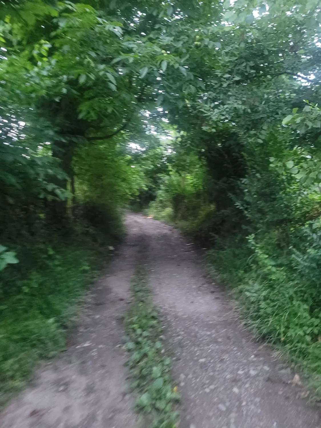 زمین مسکن ملی