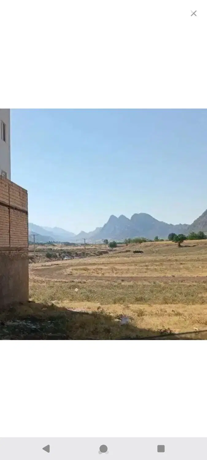 زمین بهاران۸ پاپی خالدار