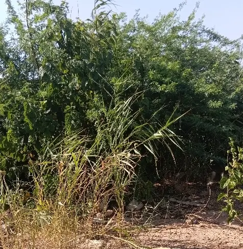 فروش زمین