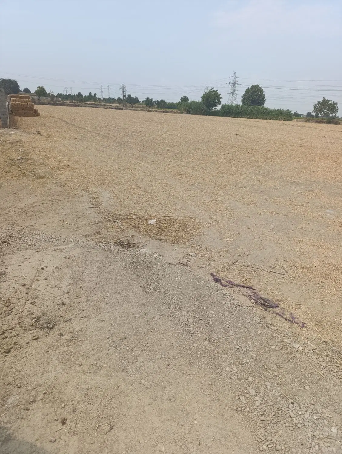 1200رمین ابراهیم آباد