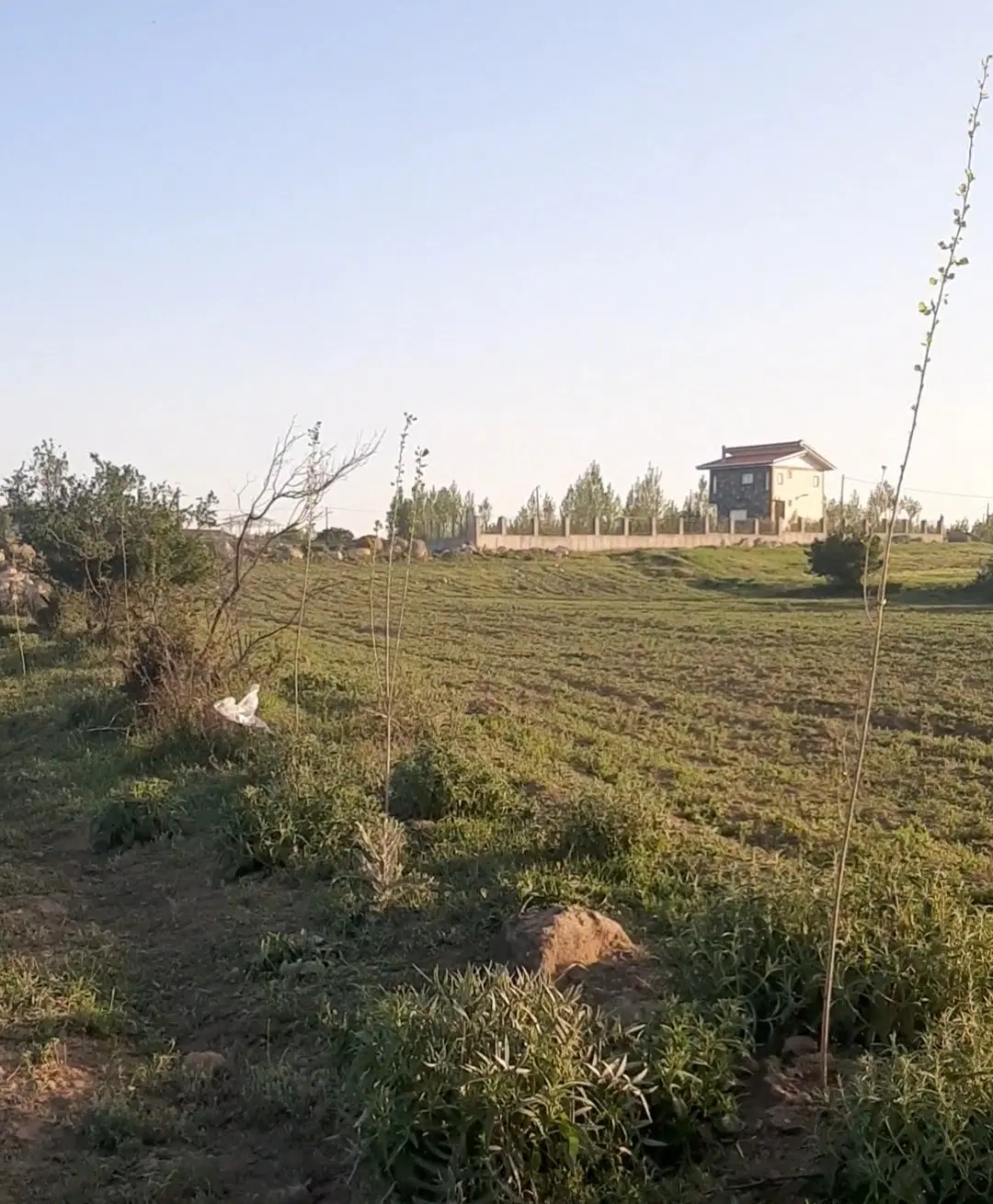 زمین آق یر روستای کلور جاده ارجستان