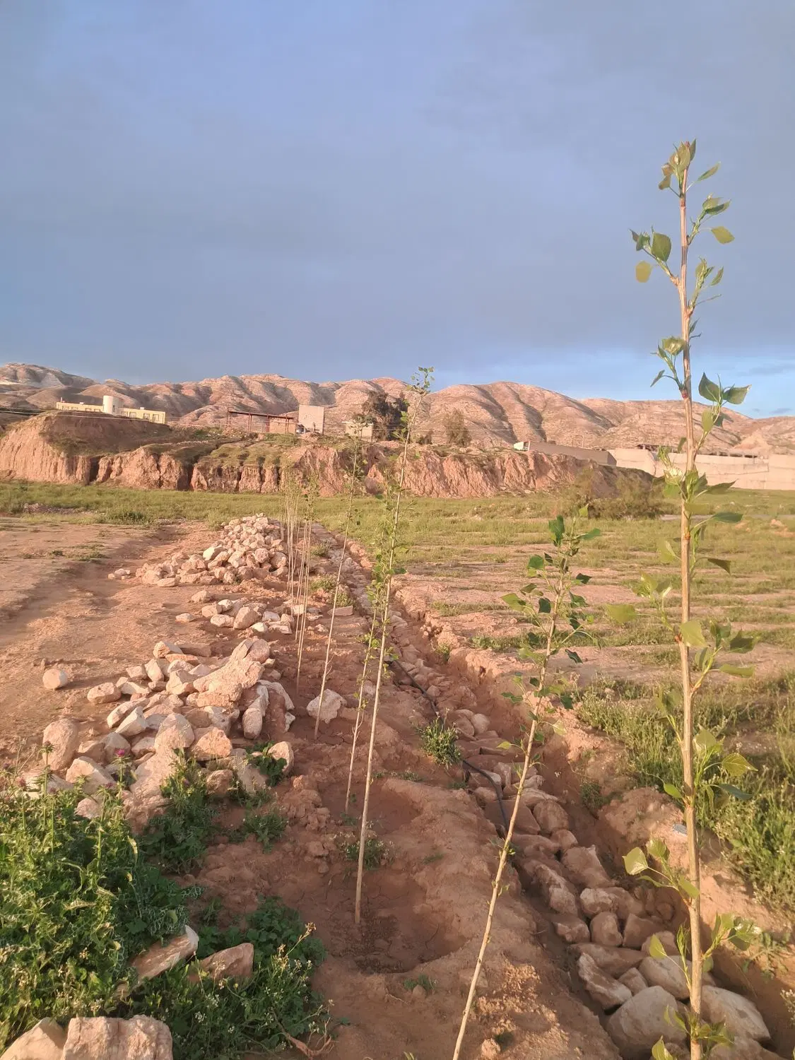 زمین برای باغ ویلا
