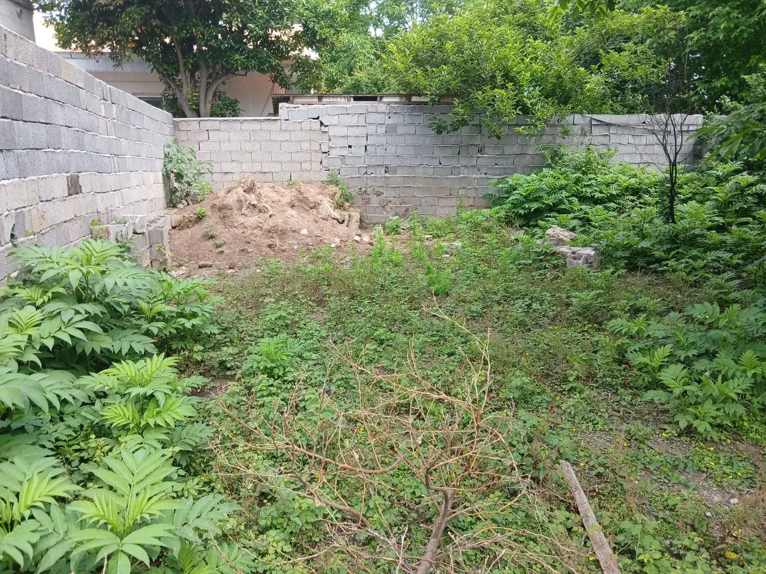 زمین مسکونی ۲۳۰ متر دیوارکشی