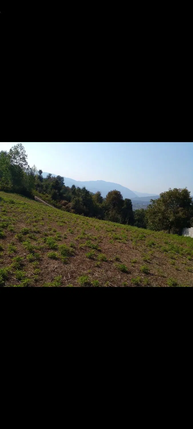 زمین فروشی