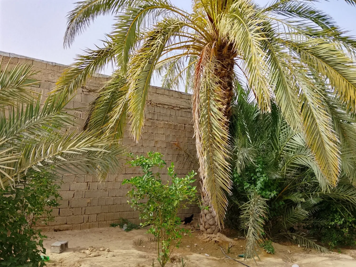 فروش منزل مسکونی در زیارت