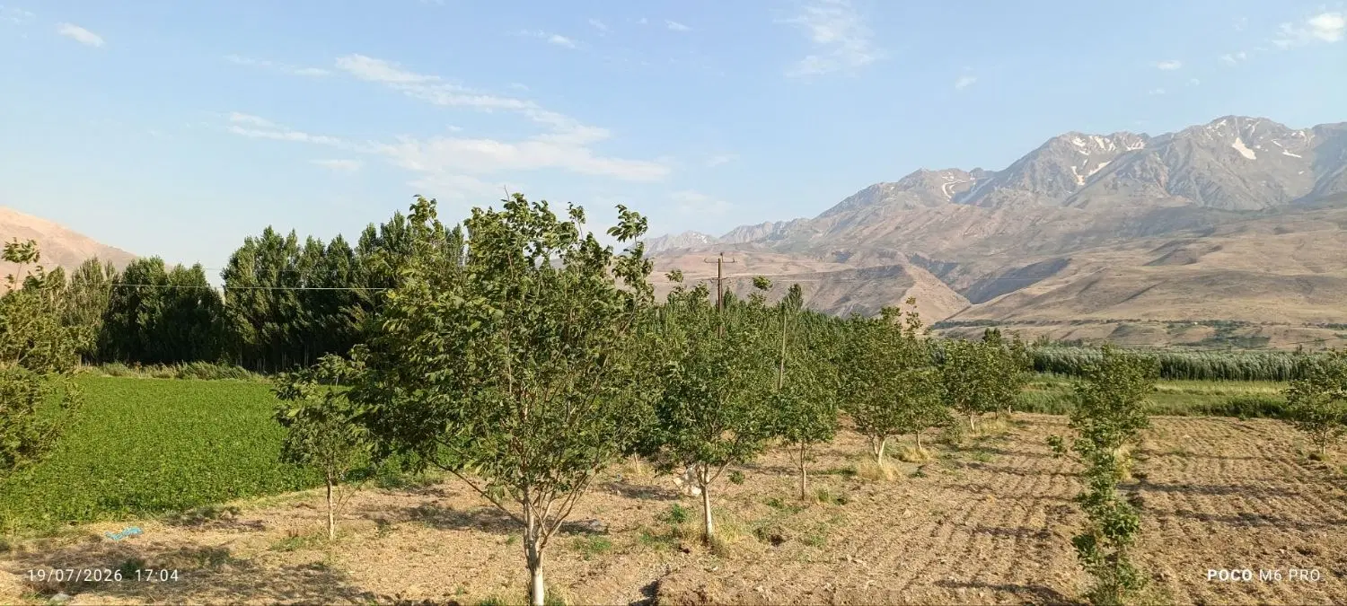 باغ گردو بر اتوبان