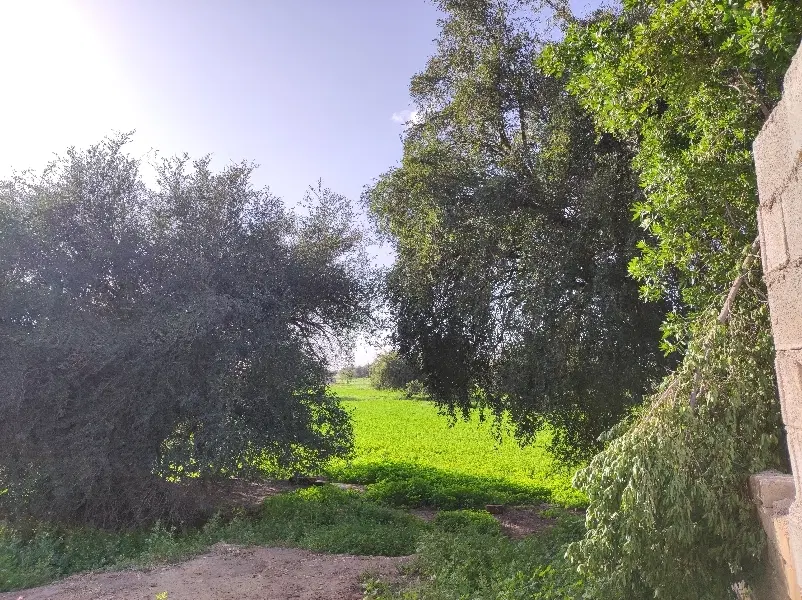 فروش آپارتمان ۷۵ متری زمین شهری بهارستان شرقی