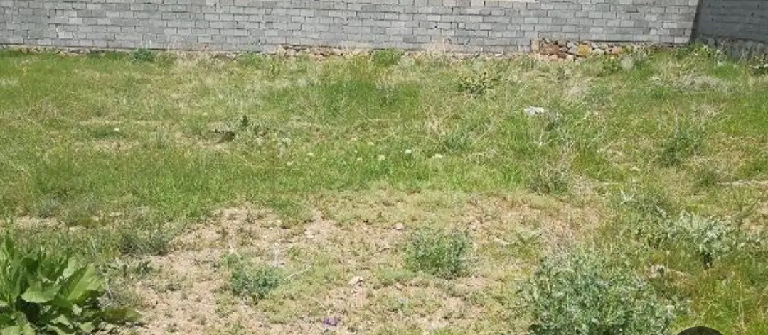 زمین برای ساخت ۲۰۰ متر مربع