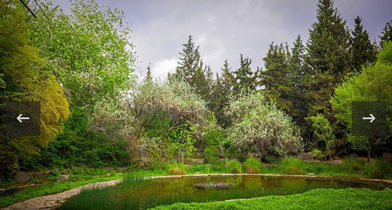 زمین باغی