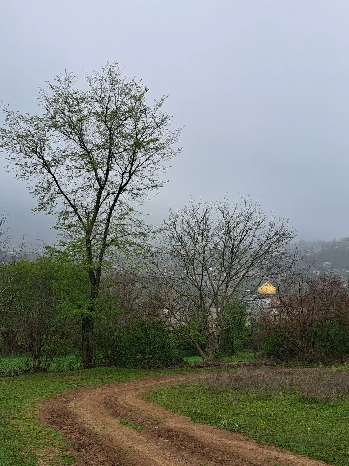 ۲۰۰متر زمین پهنه کلای شمالی