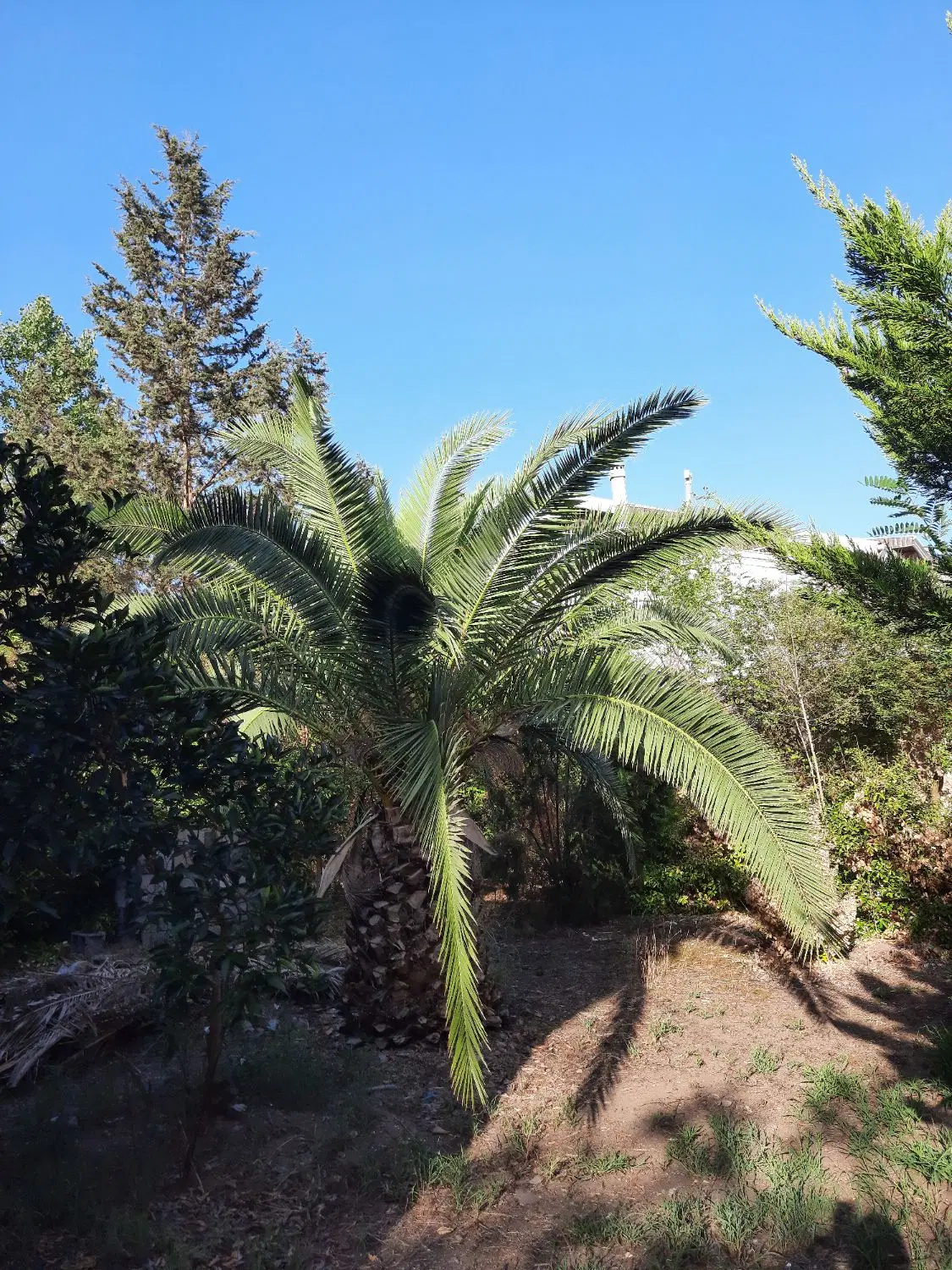 اجاره سالانه خانه ویلایی