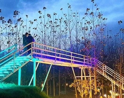 لمس طبیعت زندگی در جزیره، ویلا های چوبی