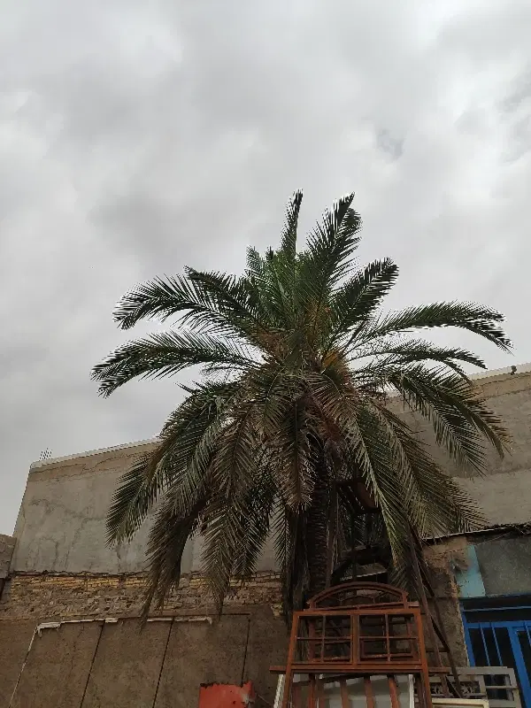 آپارتمان فروشی