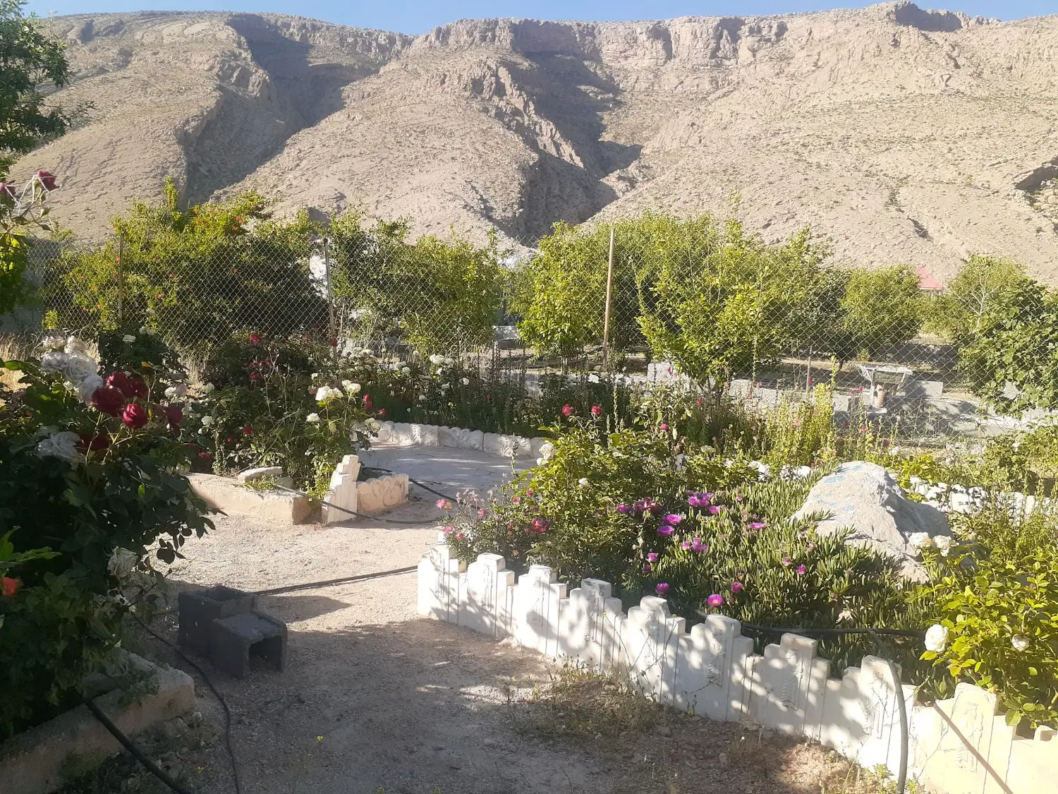 باغ ویلا