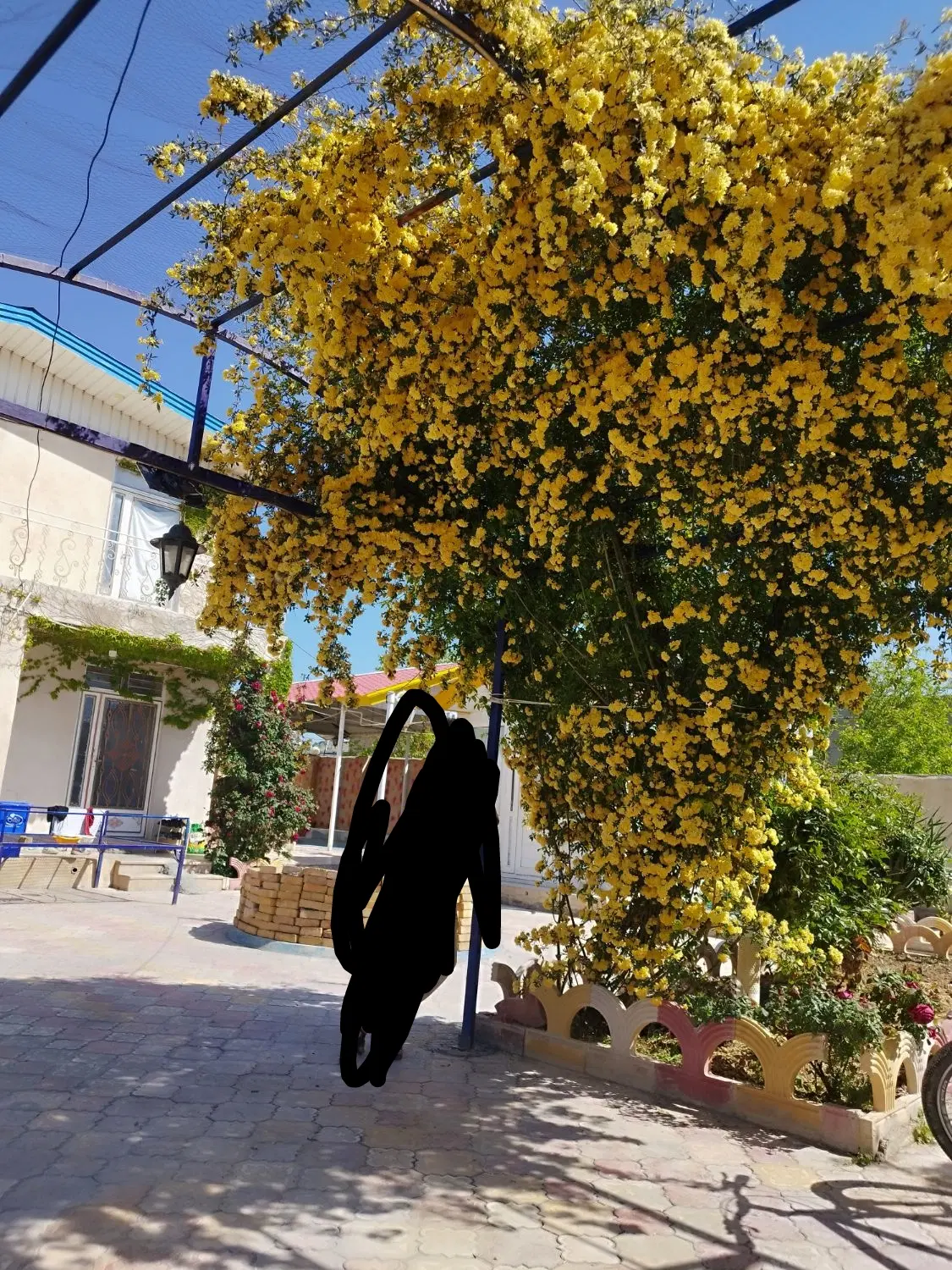 خونه باغ