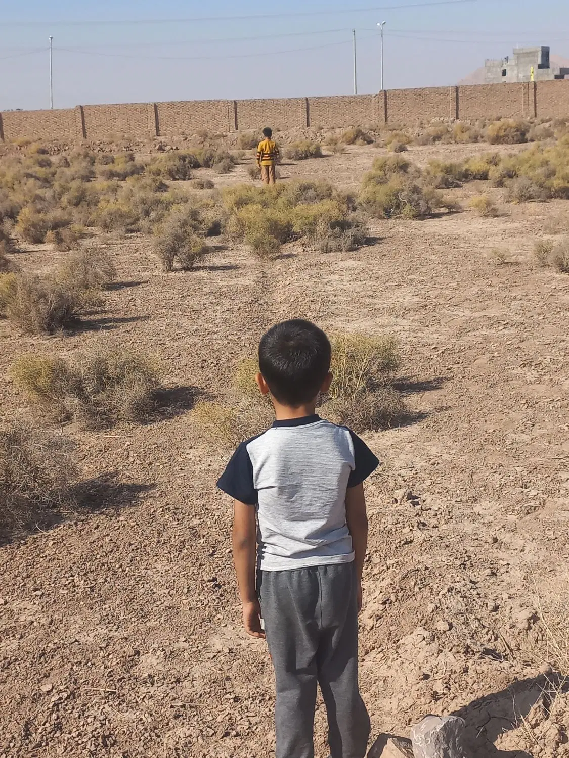 زمین خیابان پهلوان