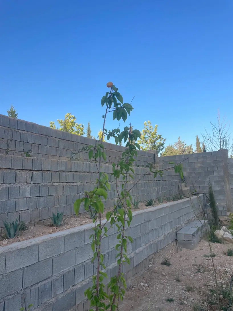 معاوضه زمین باغشهری صدرا