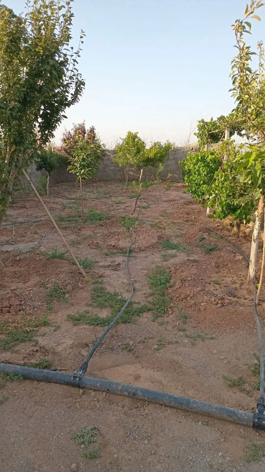 باغ ۵۰۰ متری