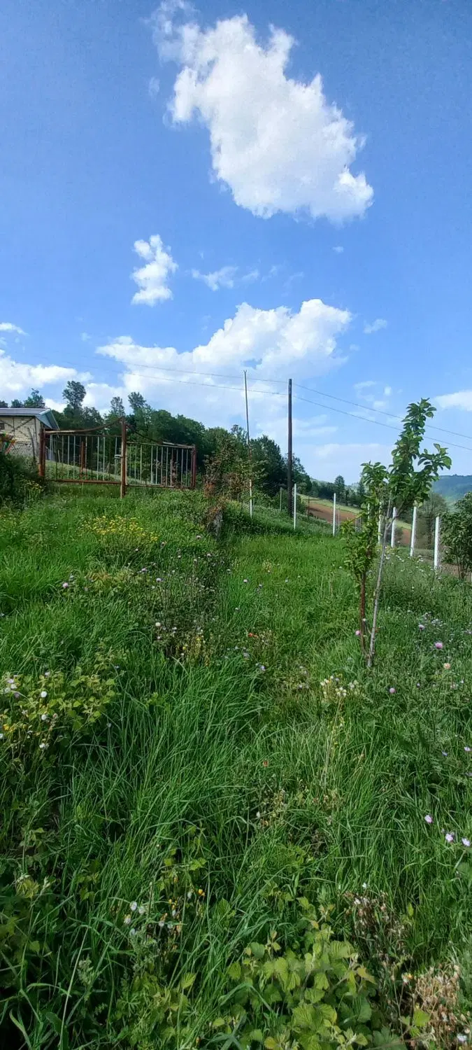 زمین ییلاقی ایربو ( دارای پروانه ساخت )