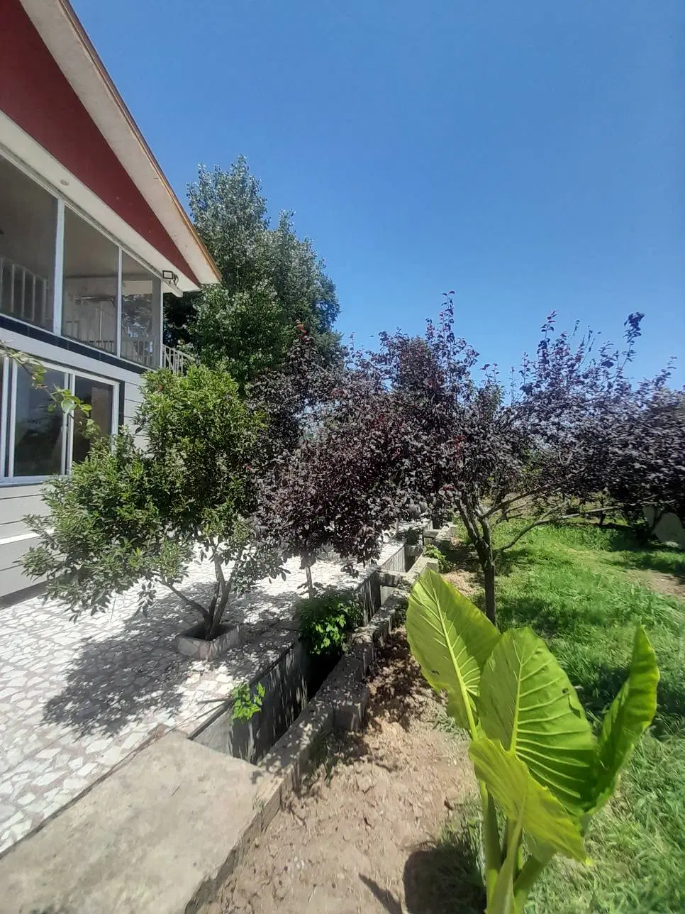 ۱۱هزار متر خانه و محوطه ‌و‌شالیزار مدارک کامل