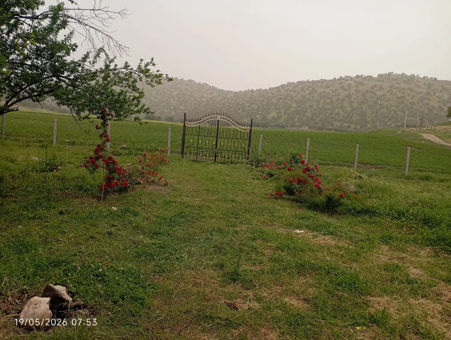 اجاره زمین کشاورزی