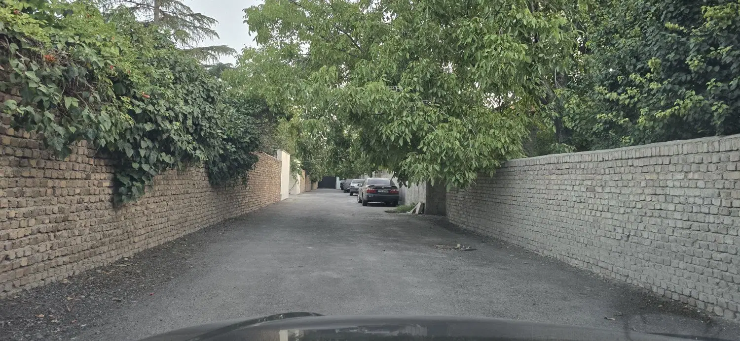 باغچه چمن ۴