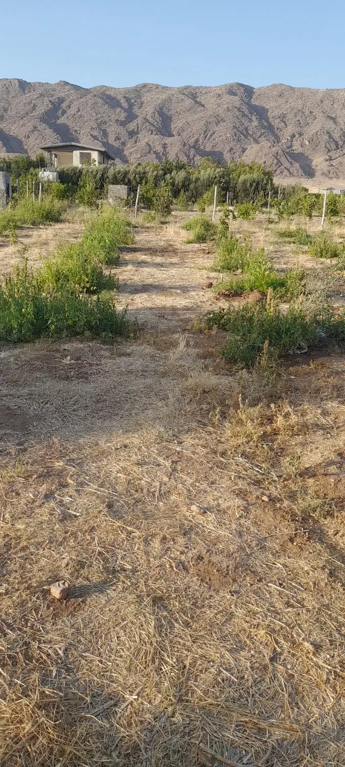 زمین باغچه ای