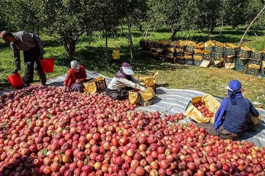 فروش باغ سیب در بزرگ اباد