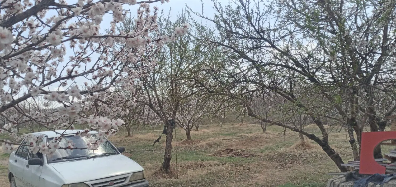 باغ شهری