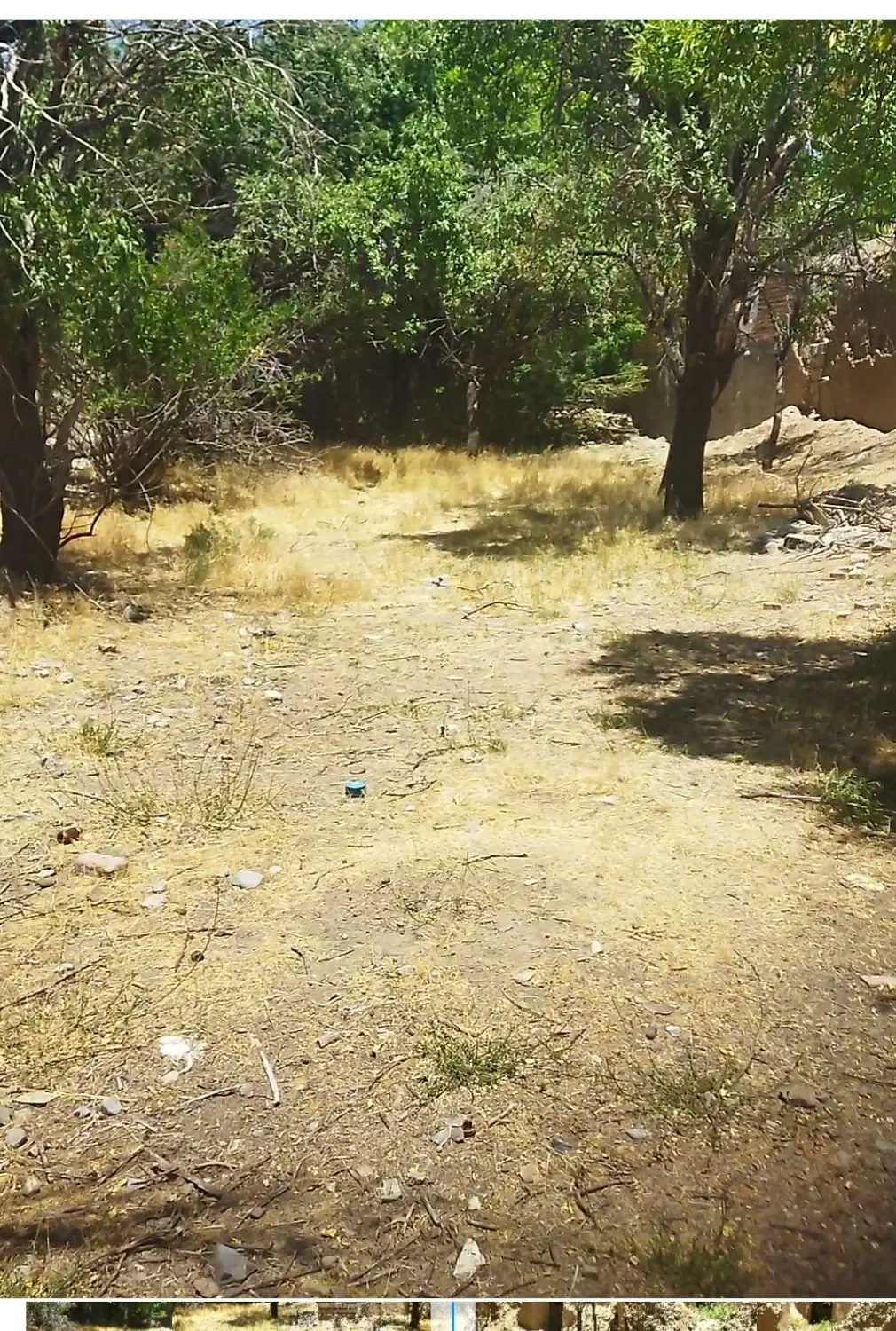 زمین فروشی