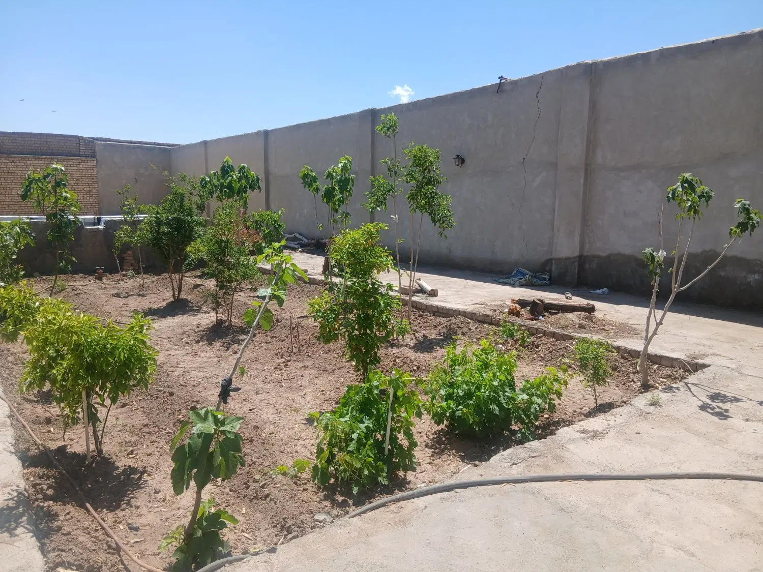 باغچه 300 متری در جنت آباد