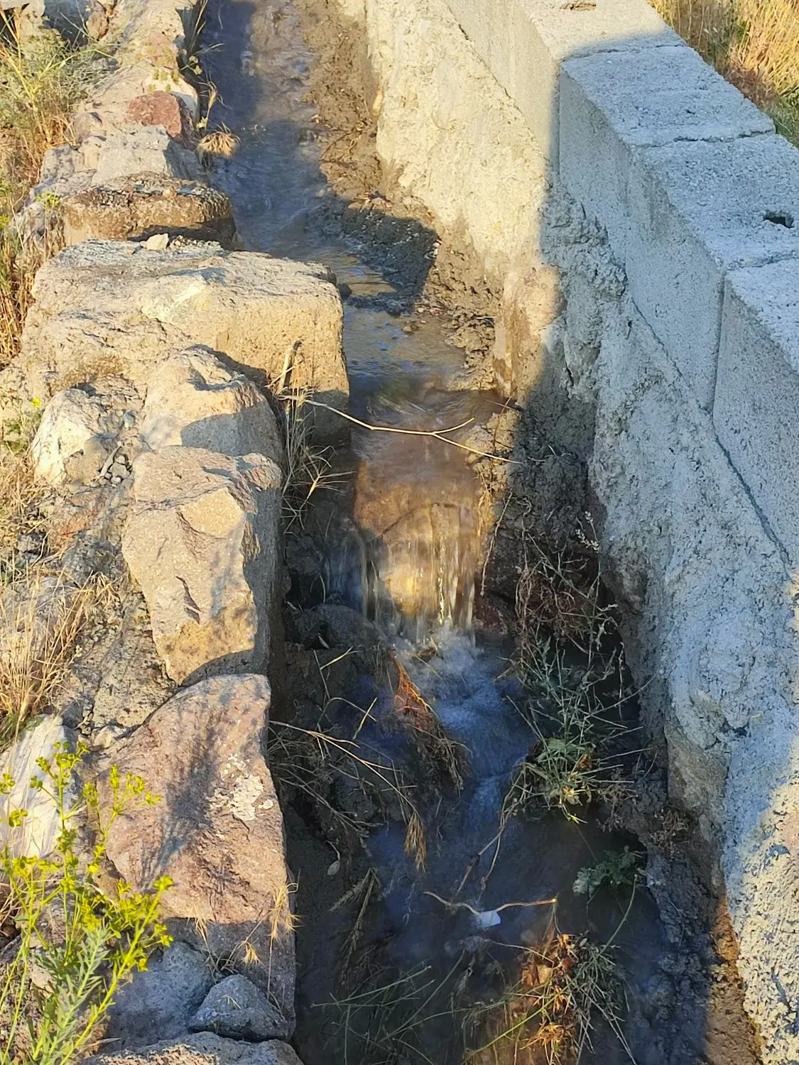 فروش باغ در اسکو