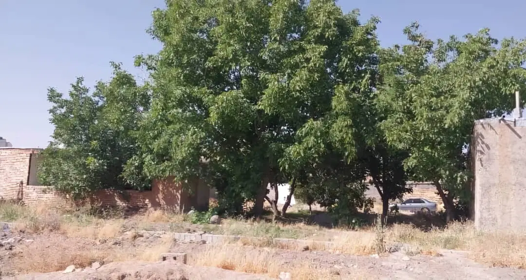 زمین ملکی باغی