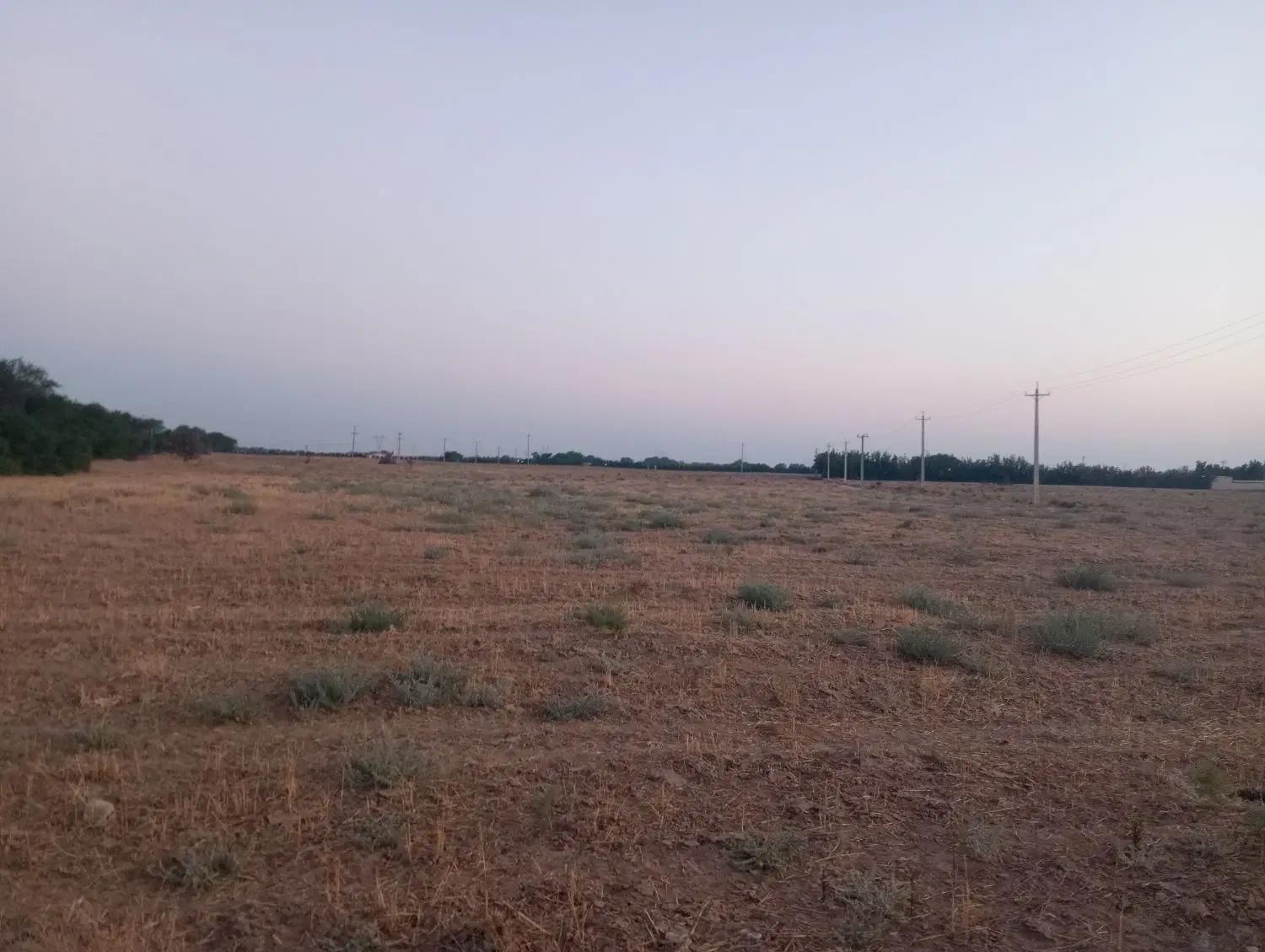 زمین کشاورزی
