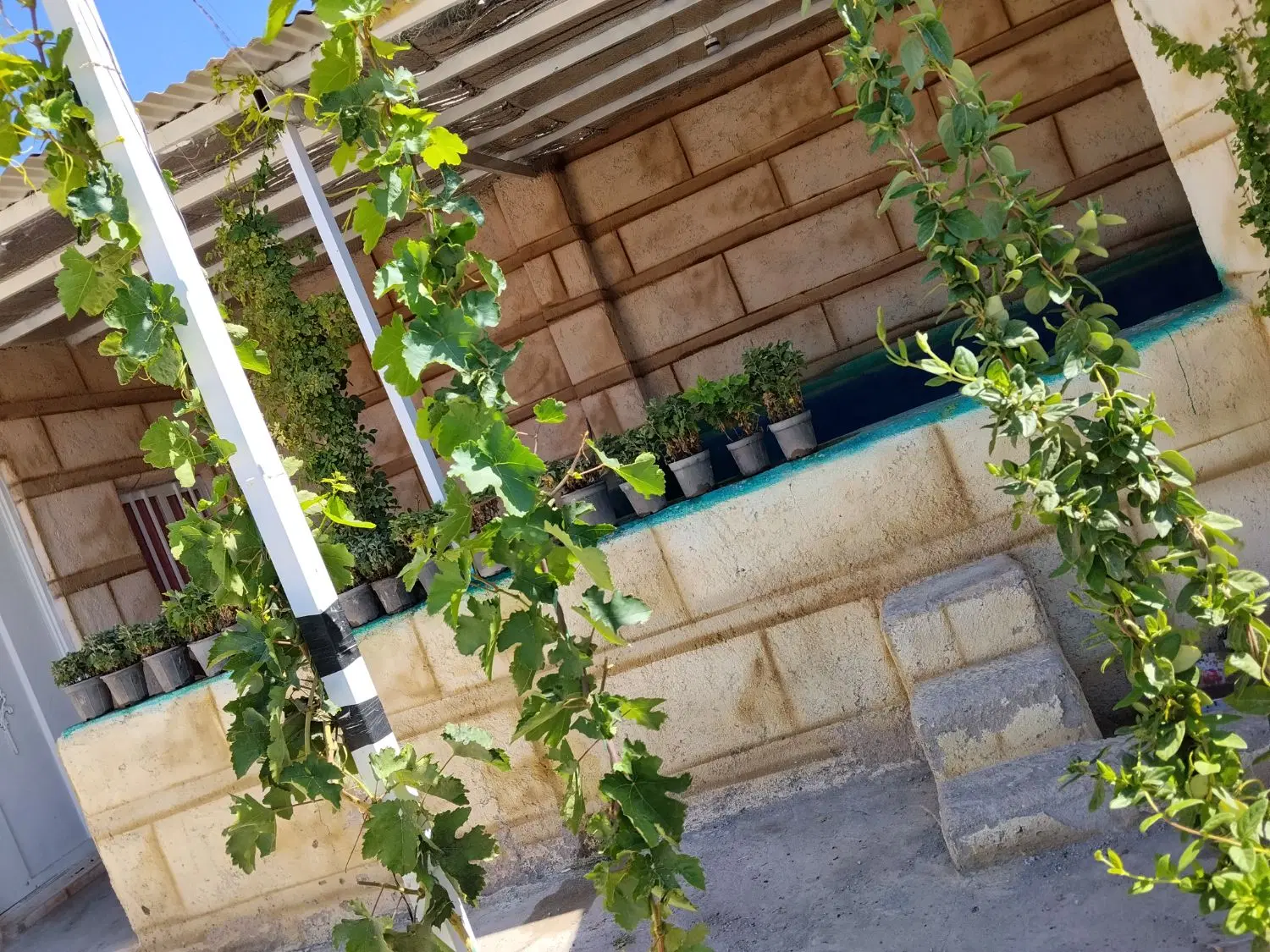 ویلای نقلی اماده استخر سرپوشیده مسیراسفالت اسفهلان
